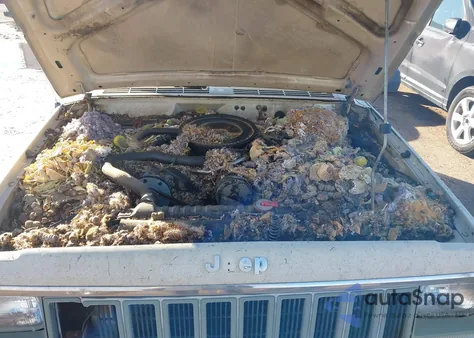 1984 Jeep Cherokee из США, поврежденный, VIN 1JCWL7815ET090614